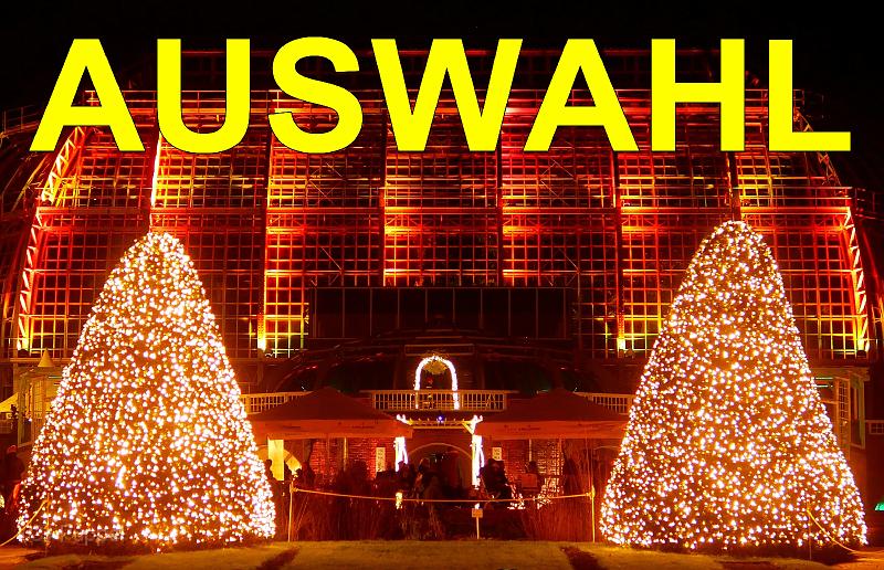 A Christmas Garden AUSWAHL.jpg